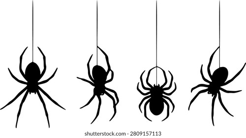 Four black spiders hanging from threads illustration