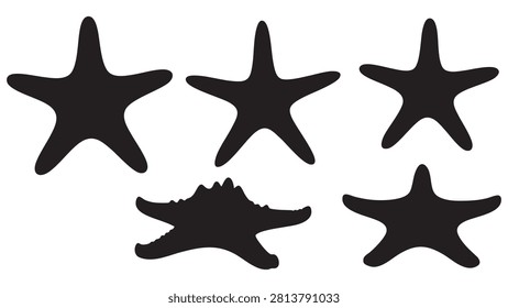 Four black starfish silhouettes are displayed against a white background showcasing distinct marine invertebrate forms.