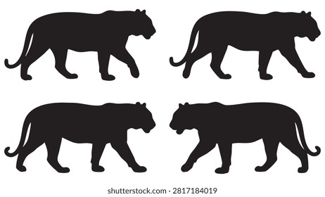 Four black tiger silhouettes are displayed against a white background each showing a different walking or standing pose.