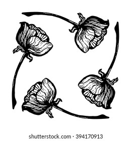 Four black and white flower