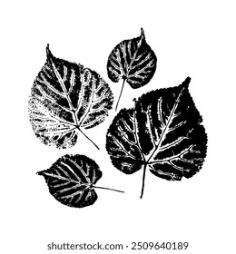 Four black and white leaf prints on a white background, showcasing intricate vein details. Concept of nature, simplicity, and elegance