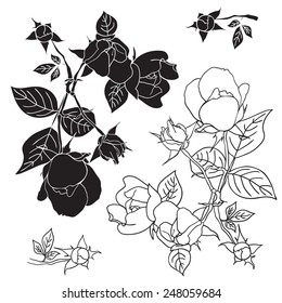 Four black and white roses. Vector illustration. Elements for design tattoo, textiles, prints.