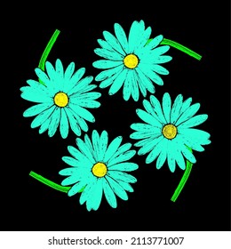 four blooming blue flowers on a black background, daisy
