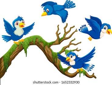 Four blue birds flying around the branch illustration