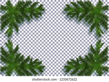 Four blue realistic fir branches with shadow. Placed in the corners. Isolated on transparent background. Christmas vector illustration