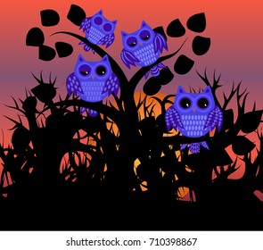 Four blue waking owls with open, half-open and closed eyes on a branch of a tree with leaves against the background of an orange sunset, the setting sun and black forest