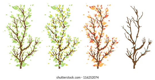four branches of a tree showing the changing nature. vector illustration