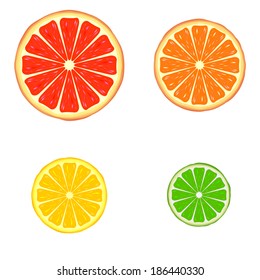 Four bright citrus slices: grapefruit, orange, lemon and lime