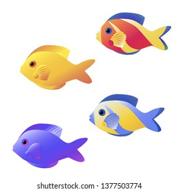 Four bright colored fish on a white background.