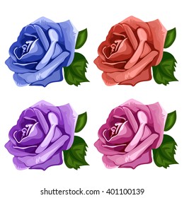 Four bright rose blossom isolated on white background. Vector illustration.