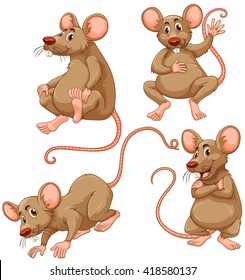 Four brown mouse on white background illustration