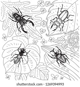 The four bugs in the forest. Hand drawn vector cartoon. For coloring, insects illustration,children books illustration, pattern, decoration,clip arts,background,graphic design,