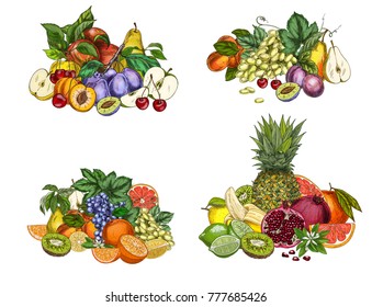 Four bunches of garden fruits. colored hand drawn vector illustrations.