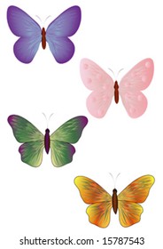 four butterfly on white background, vector