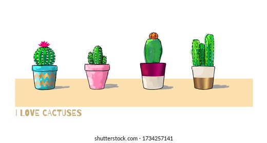 Four cacti in pots isolated on white background. Vector Illustration
