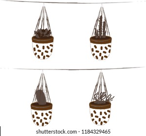 Four cactuses in hanging pots - Decoration set