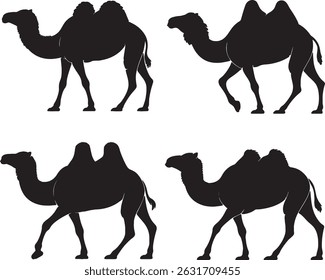Four camel silhouettes desert animals wildlife