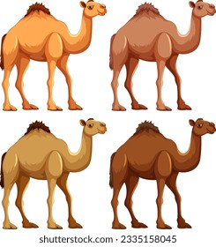 Set Of Vector Pack Animals - Camel, Horse And Donkey. Illustration