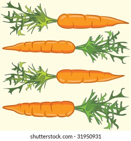 four carrots on isolated background