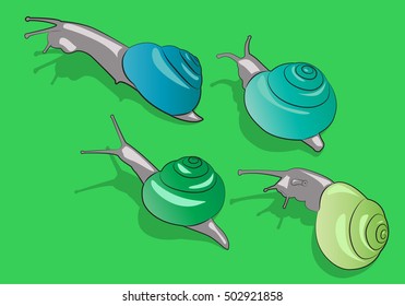 Four cartoon snail crawling on the grass. Vector illustration
