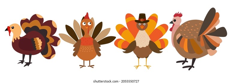 Four cartoon thanksgiving turkeys in a pilgrim hats on white background 