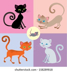Four cats and one mouse set