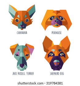 four characters of dogs, flat illustration on white background