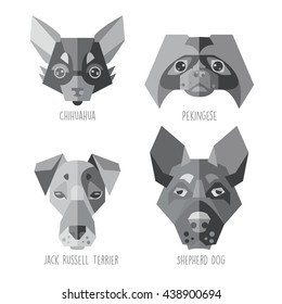 four characters of dogs, flat illustration on white background