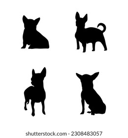 Four chihuahua silhouette set isolated on white background.