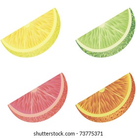 Four of citrus slices isolated