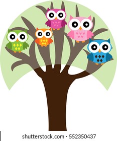 Four colorful owls sitting on the tree on a white background