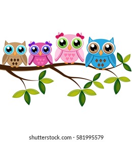 Four colorful owls sitting on the branch on a white background