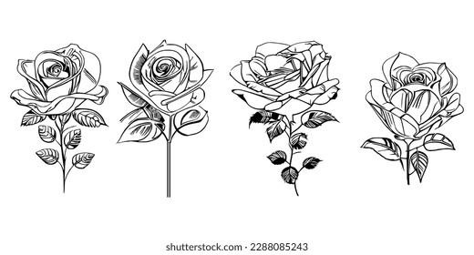 Four Coloring Book showcases stunning depictions of four individual roses.