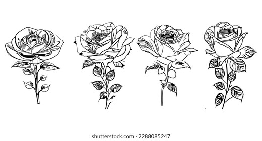 Four Coloring Book showcases stunning depictions of four individual roses.