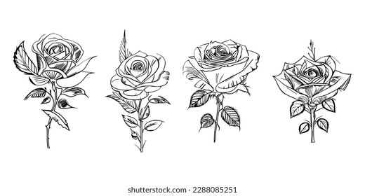 Four Coloring Book showcases stunning depictions of four individual roses.