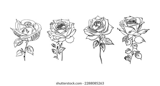 Four Coloring Book showcases stunning depictions of four individual roses.