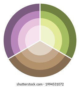 Four Concentric Circle Diagram Vector Illustration