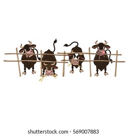 Four cows behind the fence. Vector illustration