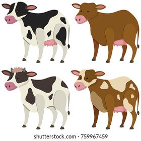Four cows with different skin colors illustration