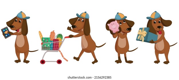 four cute dachshunds are busy shopping