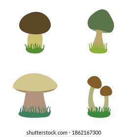 four cute grey mushrooms samples