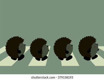 Four cute hedgehogs crossing the road