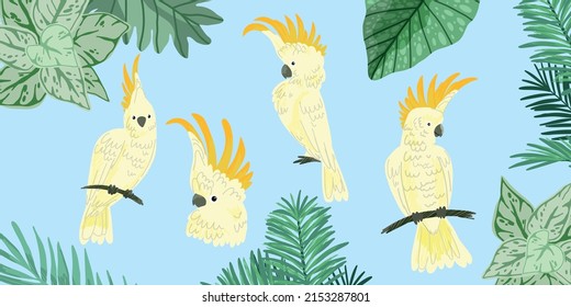 Four cute kakadu, tropical birds, hand drawn vector illustrations