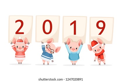 Four cute pigs in warm knitted winter clothes holding 2019. Cartoon character design. Pink animal mascot. Flat vector illustration isolated on white background.