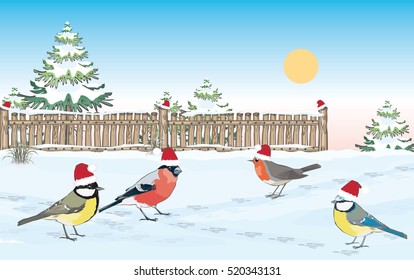 Four cute small song birds with red Christmas caps in the snow in a garden with a fence and trees on a Winter afternoon