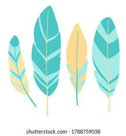 four decorative bird feathers on the white background