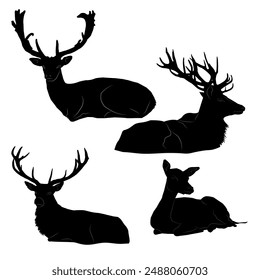 Four deer are depicted in black silhouettes on a white background. Everyone is lying down. Three deer with antlers, males, the fourth female, without antlers. The outlines are black, which gives the i