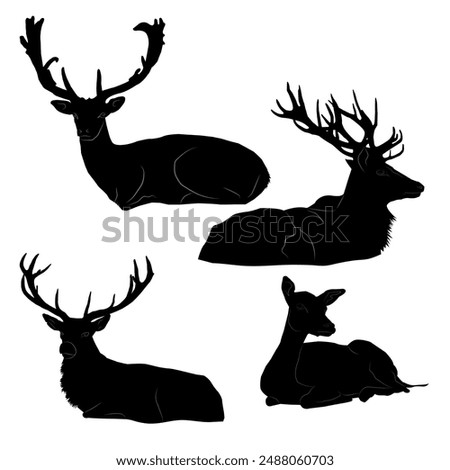 Four deer are depicted in black silhouettes on a white background. Everyone is lying down. Three deer with antlers, males, the fourth female, without antlers. The outlines are black, which gives the i