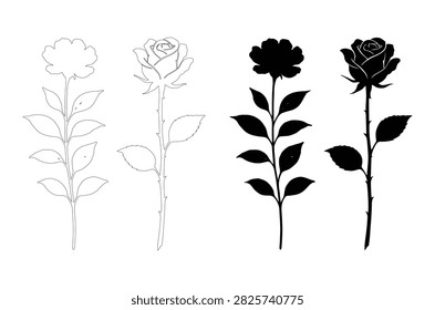 Four depictions of a rose stem, presented as silhouettes and line art, are shown against a white background.