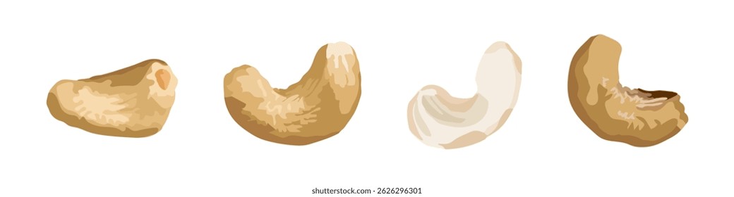 Four detailed cashew nuts shown in different angles and shades, ideal for food packaging, nutrition content, or healthy snack branding